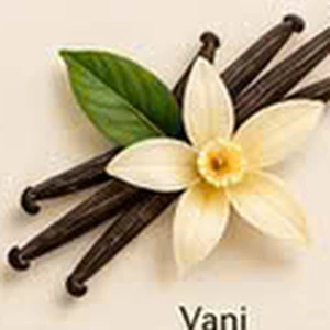 Hoa và quả vani